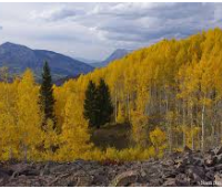 Raggeds Wilderness 65,443 acres Deer Hunting Land in Delta, CO images 3