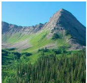 Raggeds Wilderness 65,443 acres Deer Hunting Land in Delta, CO images 4