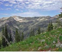 Raggeds Wilderness 65,443 acres Deer Hunting Land in Delta, CO images 6