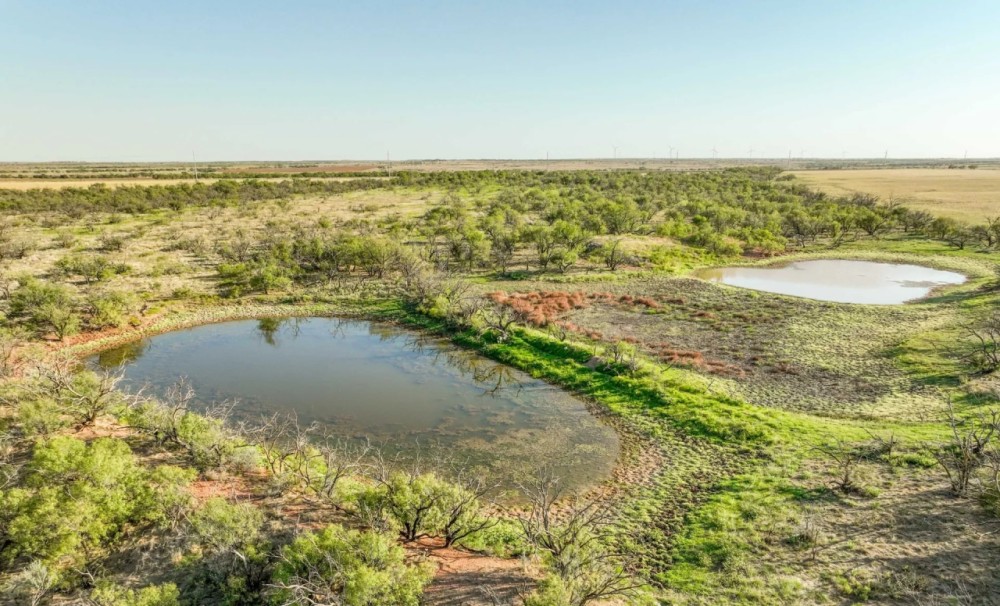 277 Acres in Baylor County featured image