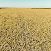 277 Acres in Baylor County images 2