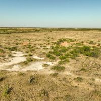 277 Acres in Baylor County images 4
