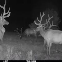 Oso Creek Ranch images 3