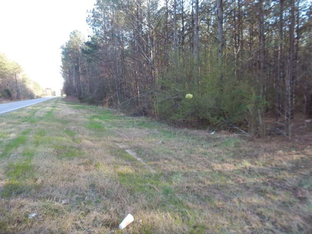 MLS 21869740 72 Acres Highway 431 Heflin AL 36264 featured image