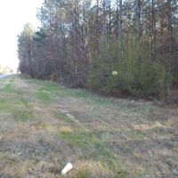 MLS 21869740 72 Acres Highway 431 Heflin AL 36264