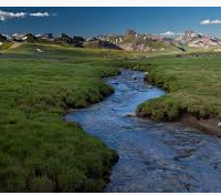 Uncompahgre Wilderness 102,721 acres Elk Hunting in Ouray, CO images 6