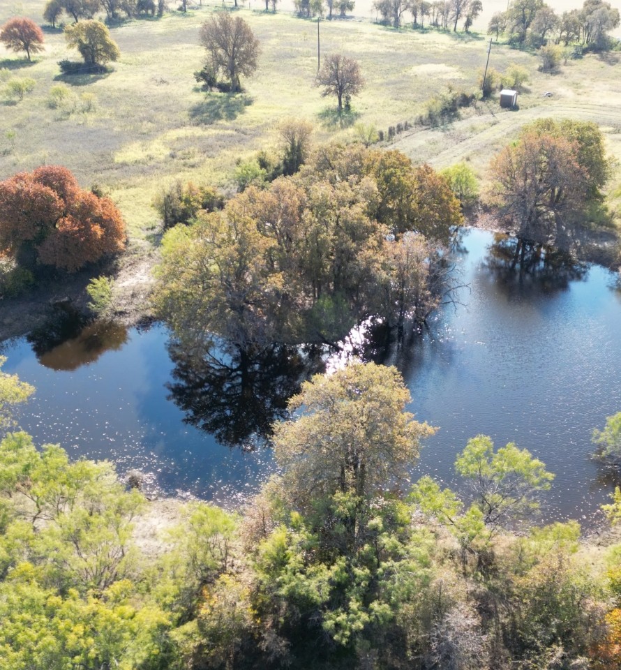 Back on Market 133.43 Acres Callahan County featured image