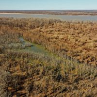 Two Equity Shares Smith Point Hunting Club Bolivar County MS images 2