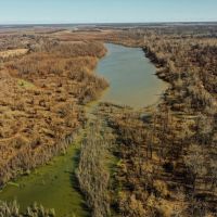 Two Equity Shares Smith Point Hunting Club Bolivar County MS images 3