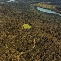 Two Equity Shares Smith Point Hunting Club Bolivar County MS images 4