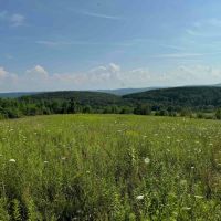 23.3 acres Hunting Land and Building Lot with Amazing Views in Friendship NY Maple Grove Rd Lot 9 images 5