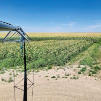 Melcher Irrigated Farm For Sale images 1