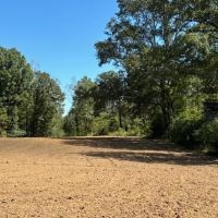 145 Acres Jefferson County Hunting Land Timber Investment images 5