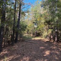 42 Acres Franklin County Hunting Land Timber Investment images 2