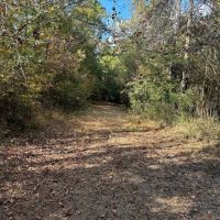 42 Acres Franklin County Hunting Land Timber Investment images 3