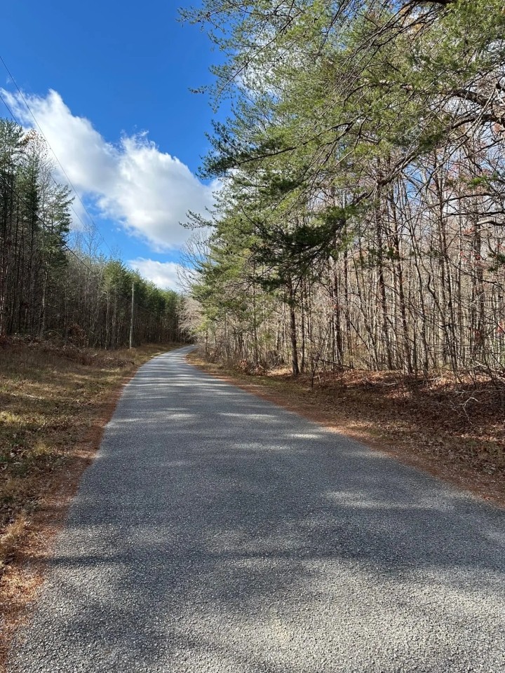 8.10 acre wooded tract in Grundy County Tennessee featured image