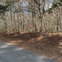8.10 acre wooded tract in Grundy County Tennessee images 2