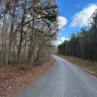 8.10 acre wooded tract in Grundy County Tennessee images 4