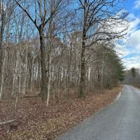 8.10 acre wooded tract in Grundy County Tennessee images 5