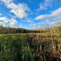 Shellman Bluff Sporting Club images 3