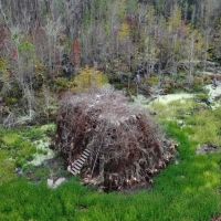 Shellman Bluff Sporting Club images 4