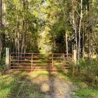 Shellman Bluff Sporting Club images 5