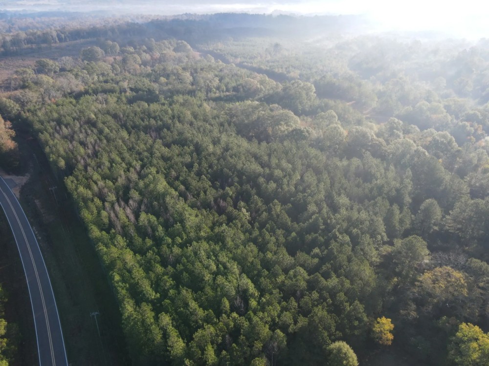 51.8 in Acres Pike County MS featured image