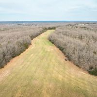Wildlife Retreat images 2