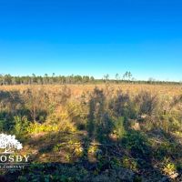 Golden isles Tract