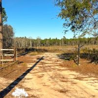 Golden isles Tract images 2