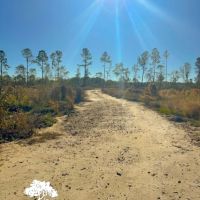 Golden isles Tract images 4