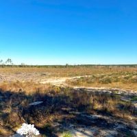 Golden isles Tract images 5