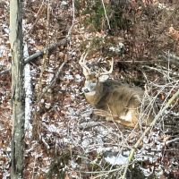 Hunting Land for Sale in Adams County Wisconsin images 2