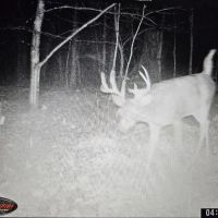 Hunting Land for Sale in Adams County Wisconsin images 3