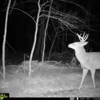 Hunting Land for Sale in Adams County Wisconsin images 4