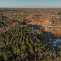 Hunting Land for Sale in Adams County Wisconsin images 5