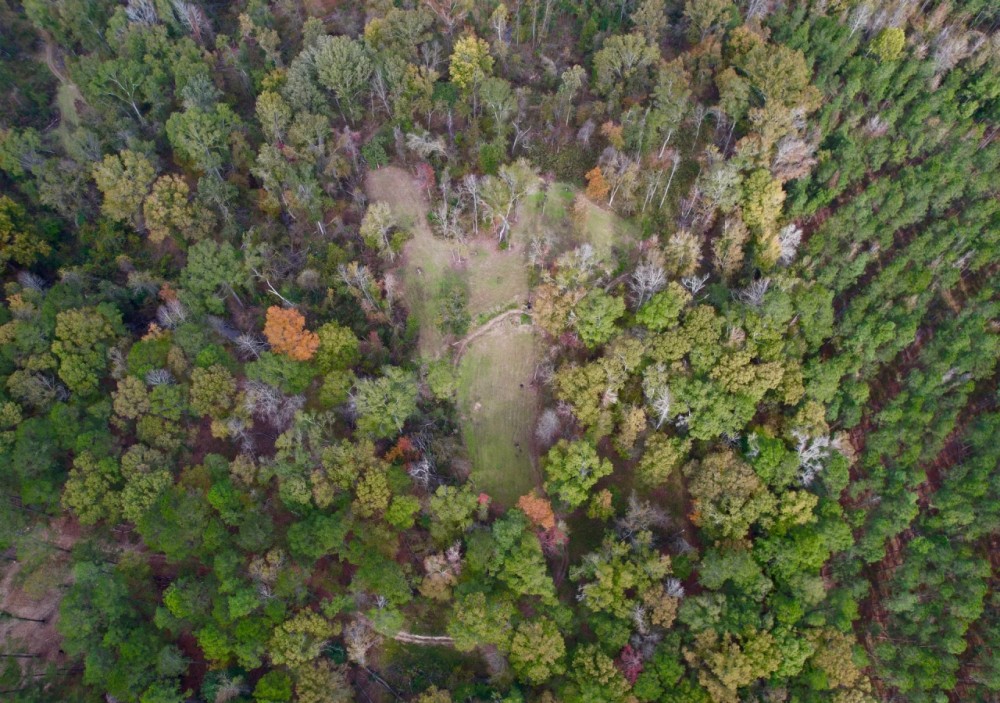 51 Acres in Caldwell Parish LA featured image