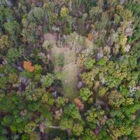 51 Acres in Caldwell Parish LA