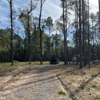 51 Acres in Caldwell Parish LA images 4
