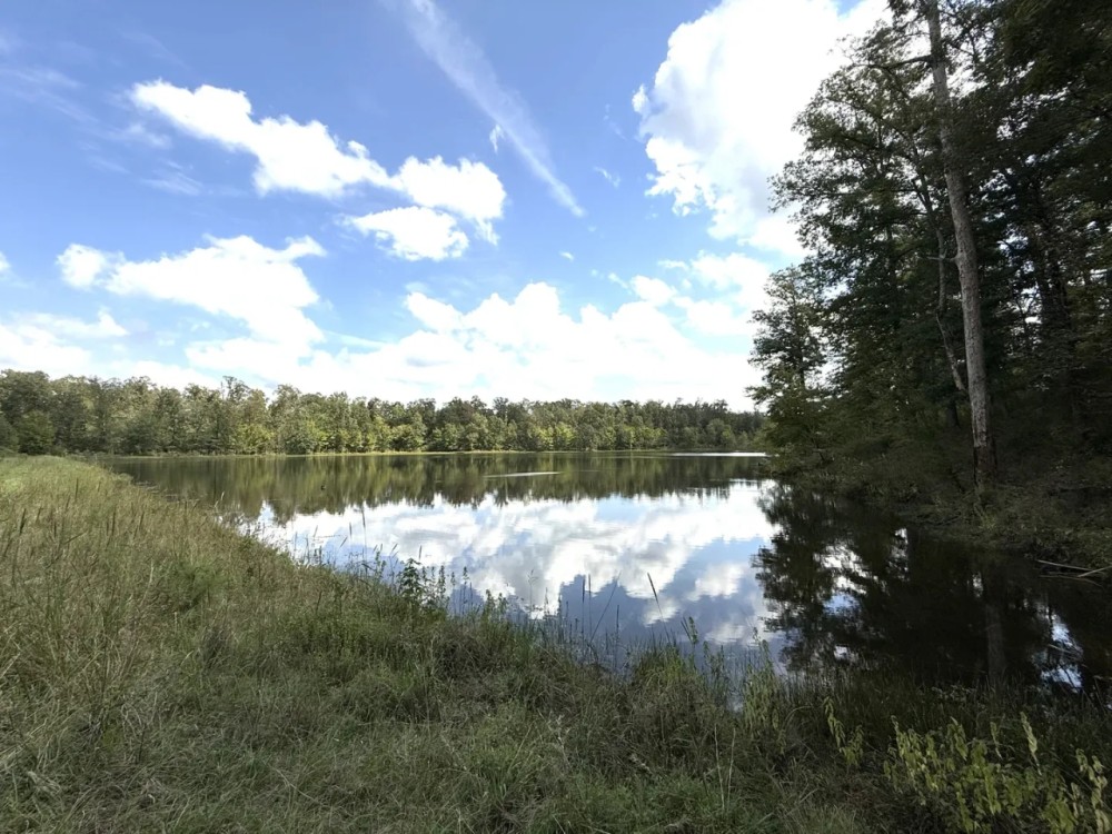 634 Acres in Montgomery County MS with a Lodge featured image