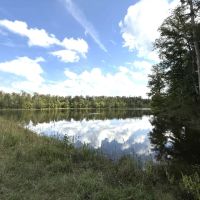634 Acres in Montgomery County MS with a Lodge