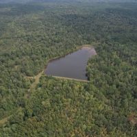 634 Acres in Montgomery County MS with a Lodge images 3