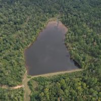 634 Acres in Montgomery County MS with a Lodge images 4
