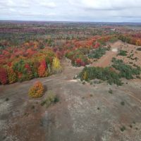 94 - Acre Wooded and Open Field Parcel Kalkaska MI images 3