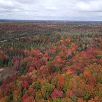 94 - Acre Wooded and Open Field Parcel Kalkaska MI images 5