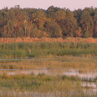33,000 Acres George W. Mead WA for Deer Hunting in County Hwy S, WI images 5
