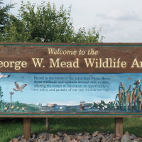 33,000 Acres George W. Mead WA for Deer Hunting in County Hwy S, WI images 4