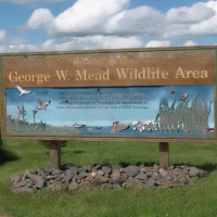 33,000 Acres George W. Mead WA for Deer Hunting in County Hwy S, WI images 3