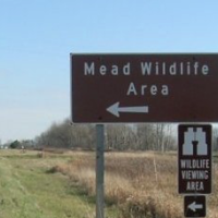33,000 Acres George W. Mead WA for Deer Hunting in County Hwy S, WI images 2