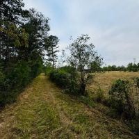19.42 Acres located on Lee Road in Franklinton LA images 5